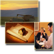 Business in Sutter County