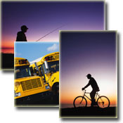 Community Portal